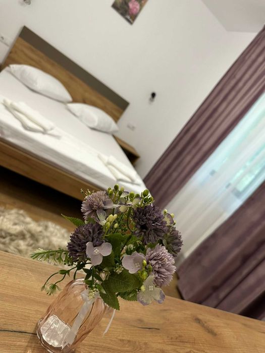 Cazare Calimanesti Caciulata Vila Anto