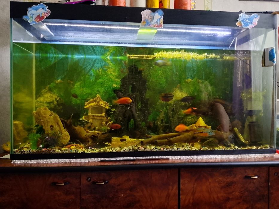 Продаётся аквариум
