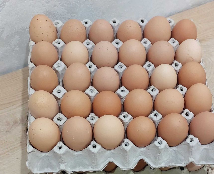 Продавам домашни яйца