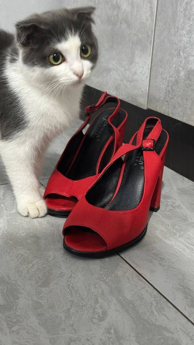 Босоножки/Туфли.