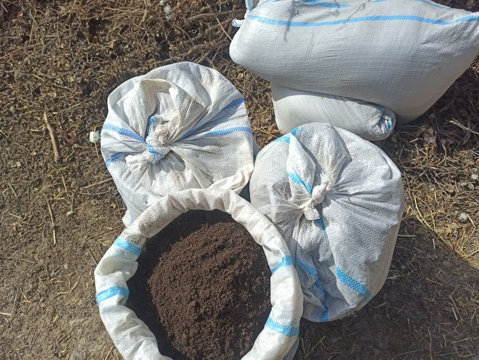 Bio gums anchagina bor telfon raqam