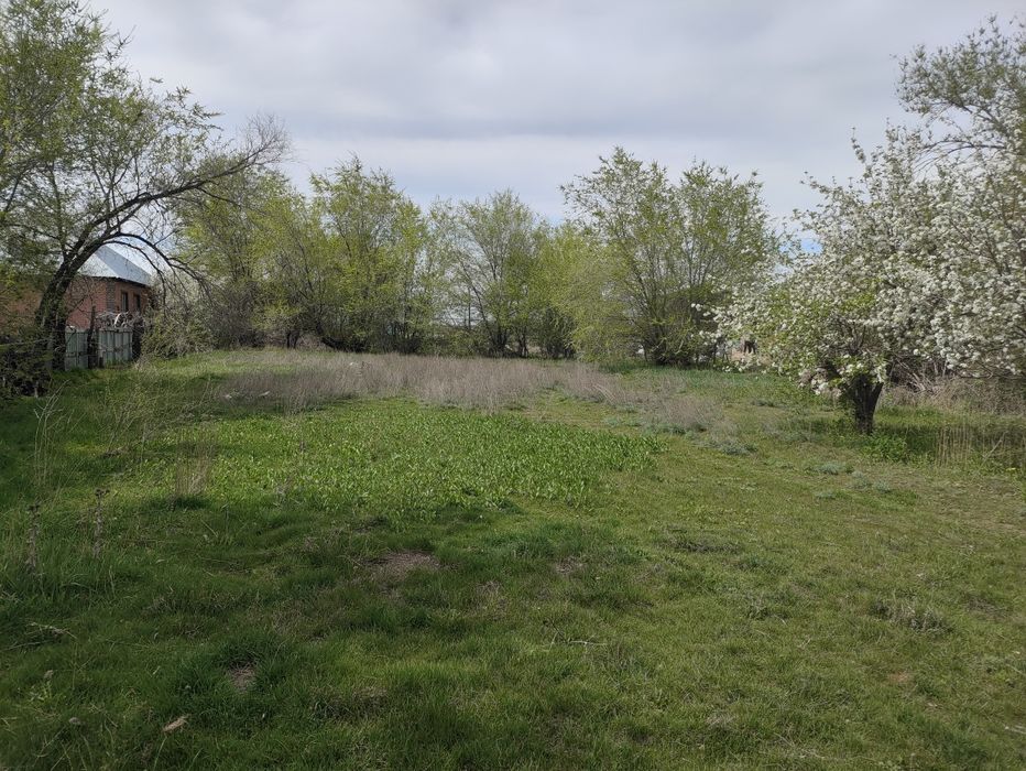 Участок, огород в п.Береке