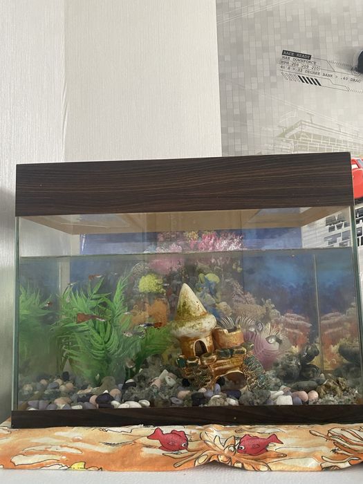 Аквариум для рыб