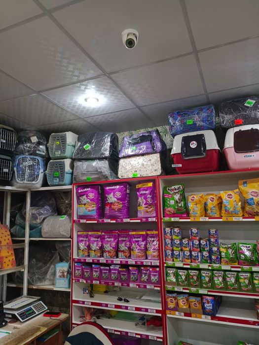 Товары для животных