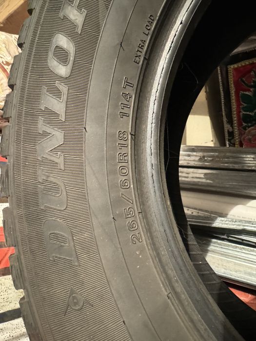 Зимние шины Dunlop