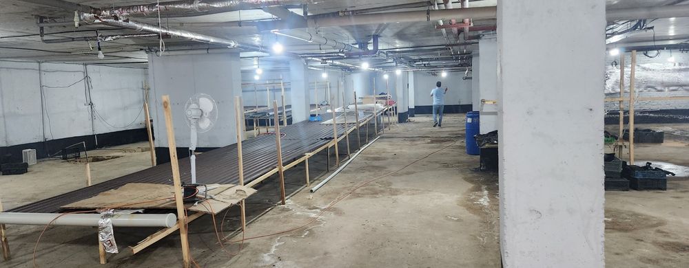 Сдам коммерческое помещения