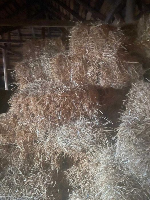 Vand baloti de paie si fan