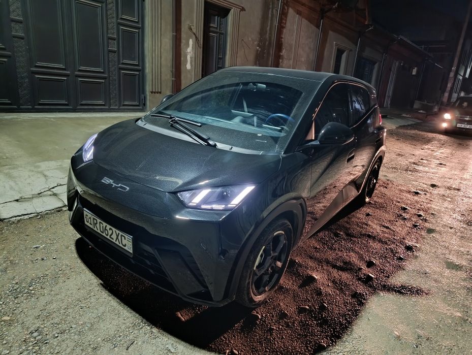 Bvd seagul 2023 qora