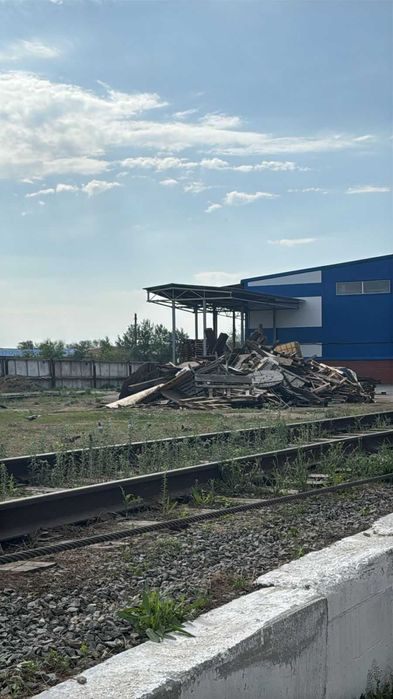 Продам дрова  не пиленные