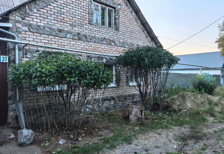 Работы по кронированию деревьев и кустов
