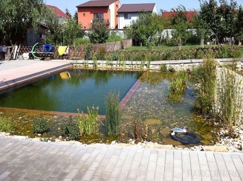 Iazuri decorative Cascade