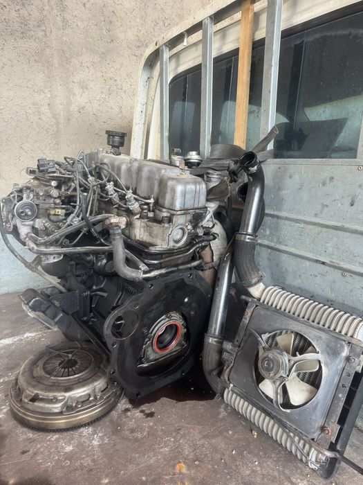 Кореа Старех матор