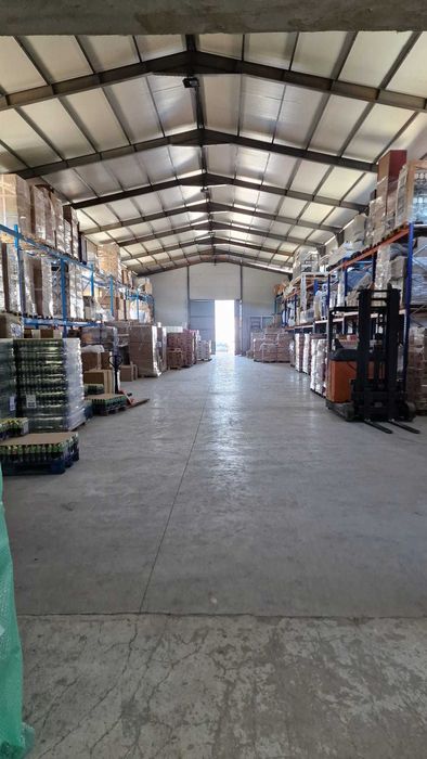 Depozit Modern 600 mp + Birouri de Închiriat – Zona Bacu (Acces TIR & 2 Rampe)