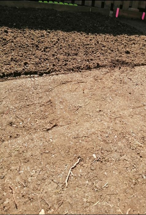 Inchiriez tăvălug,distribuitor seminte,scarificator,nivelator,gazon,