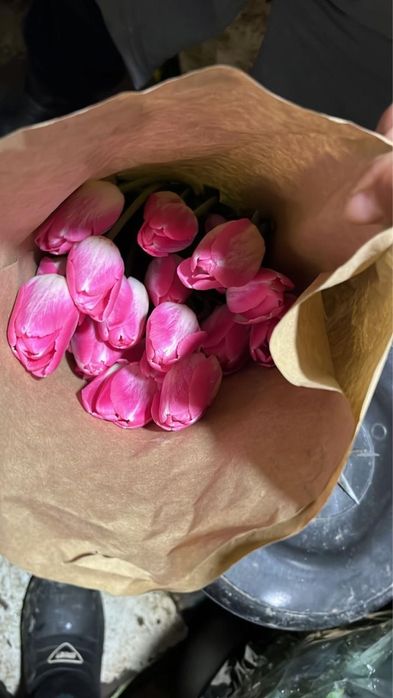 Тюлпаны оптом алматы