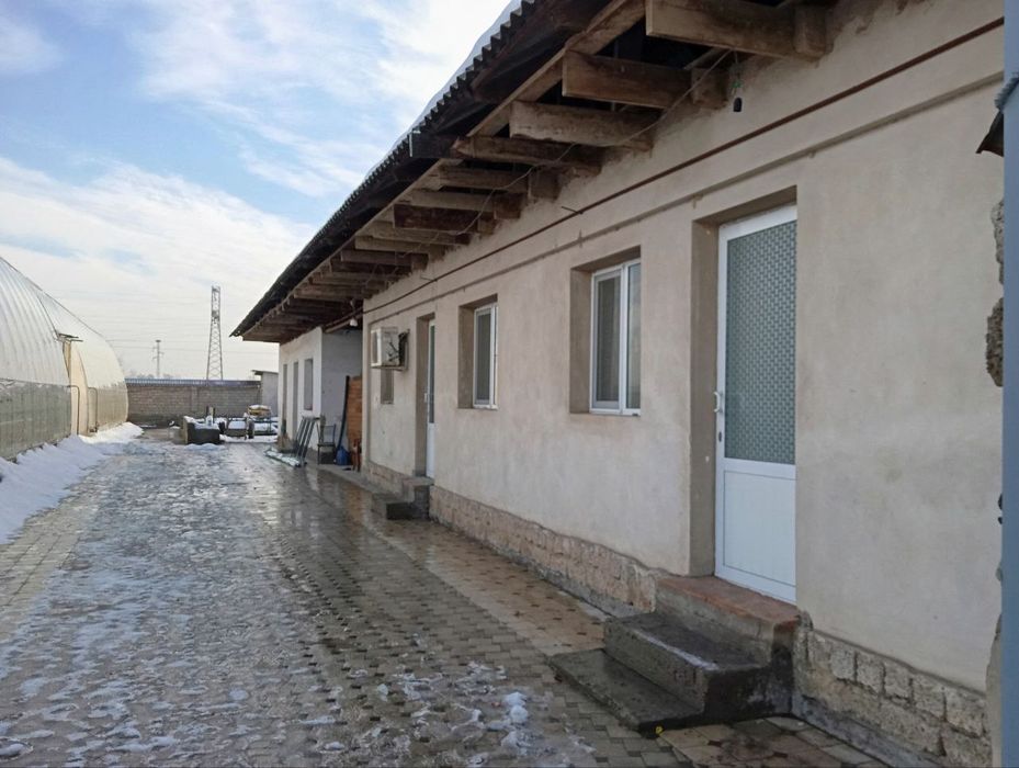 Issiqxona Tiplitsa