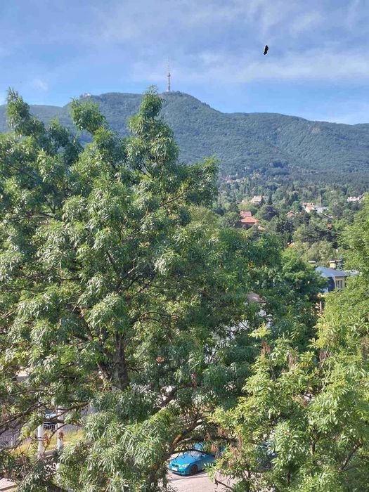 Продава се Тристаен апартамент в София, Манастирски ливади - 122 кв.м за 1820 €/кв.м - Снимка #15