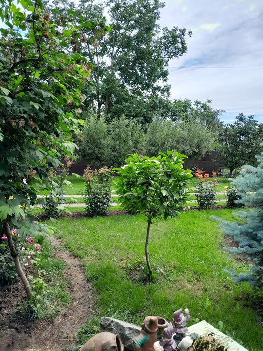 Casa de vanzare in judetul Olt