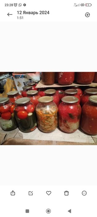 Банки на зиму. Домашние