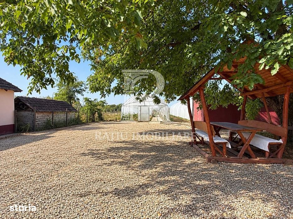 Teren intravilan agricol | 7029 mp | Satu Nou | Bihor