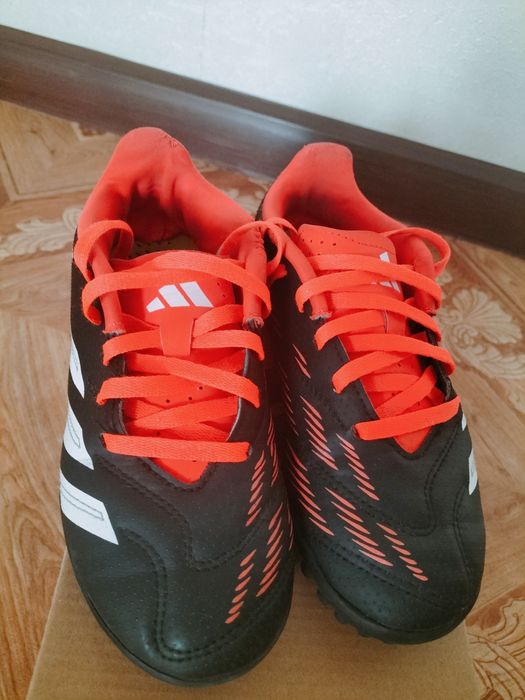 Сороконожки детские