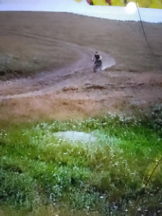 Bicicletă cu roti groase Turcească pt.coii până la 10ani.