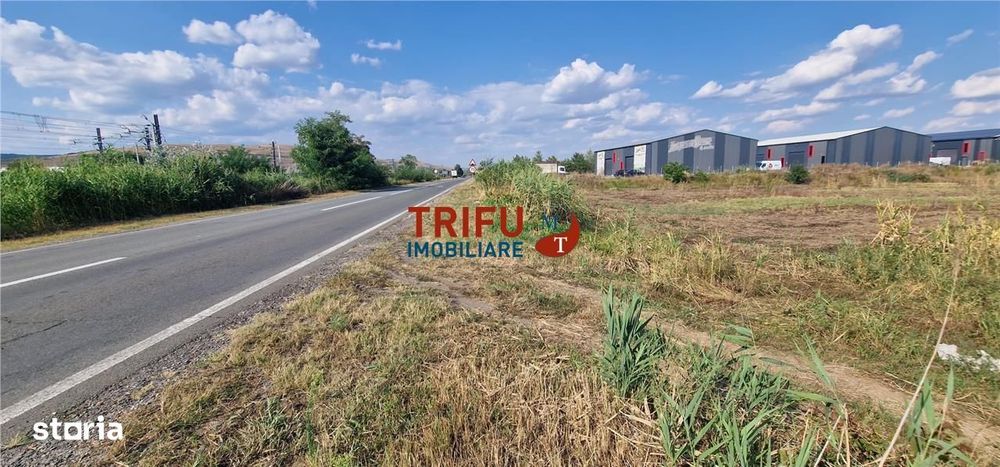 Teren intravilan 5.756 mp cu acces direct la Șoseaua de Centură – Alba