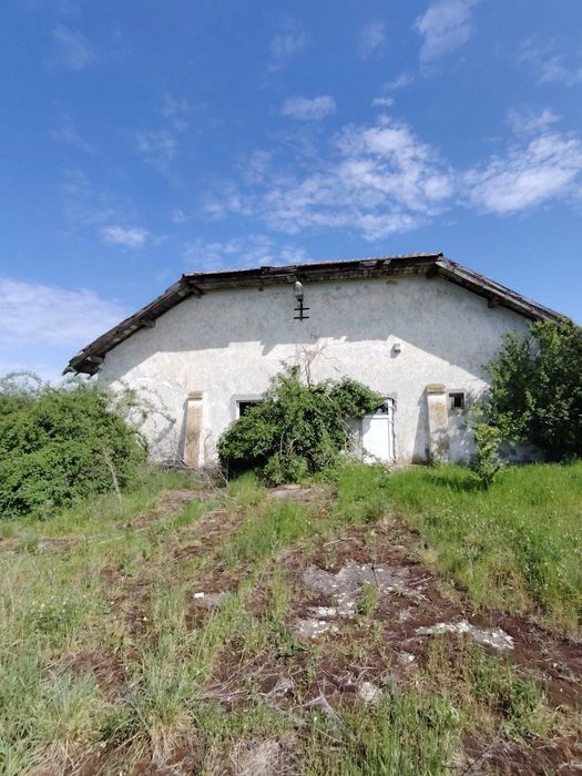 Hala, spatiu de vanzare sau de inchiriat 1270 mp