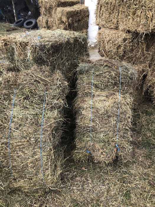 Baloti de fân ( semanatura si fân de coasta)