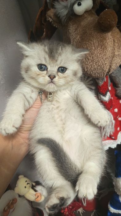 Шикарные мальчишки от правильной вязки