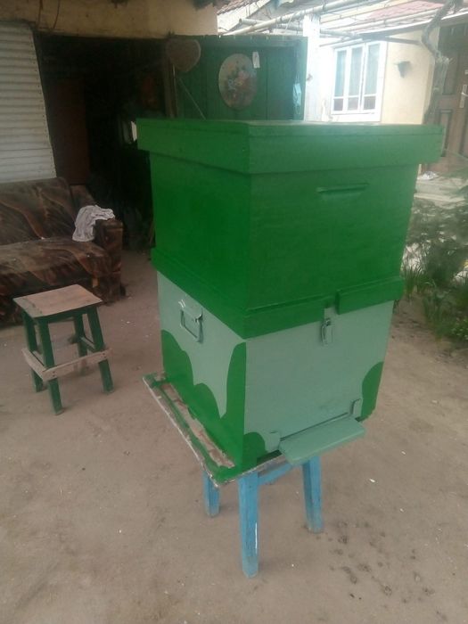 Vand stupi restaurati