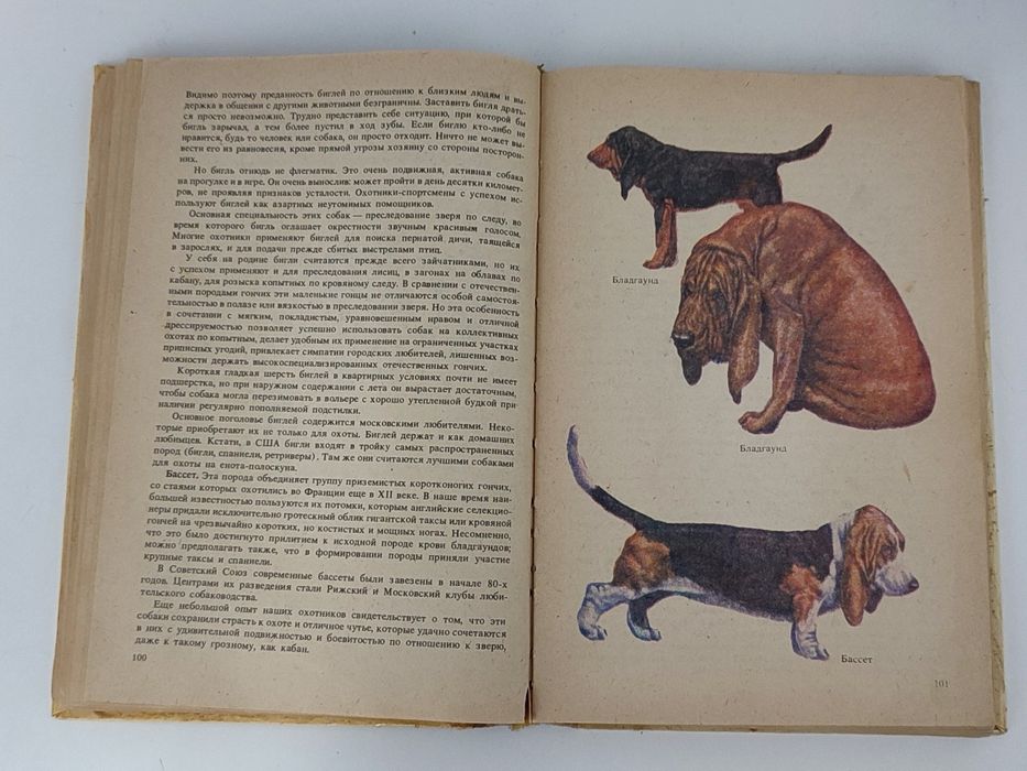 Книга по уходу за собаками