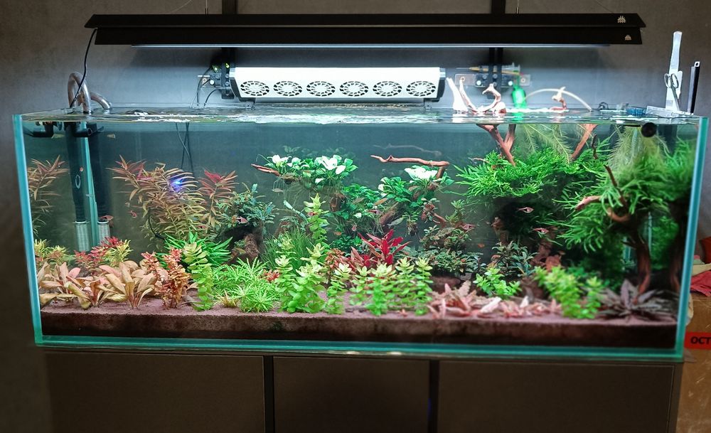 Продам аквариум полный комплект .