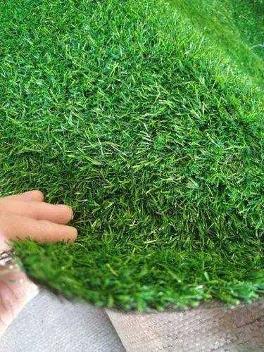 Суний Газон Чим ОПТОМ