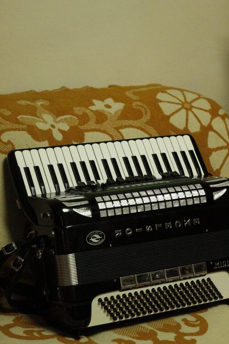 Vand acordeon Excelsior model profi