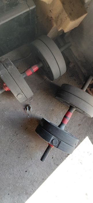 Гантели и штанга