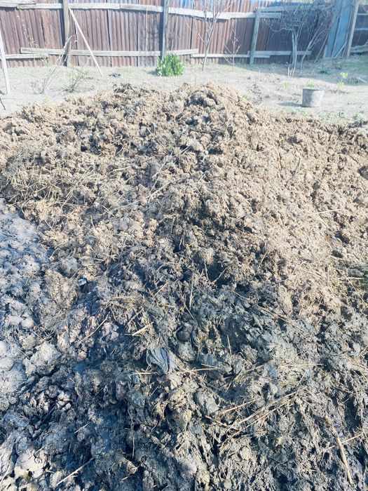 Отдам новоз бесплатно