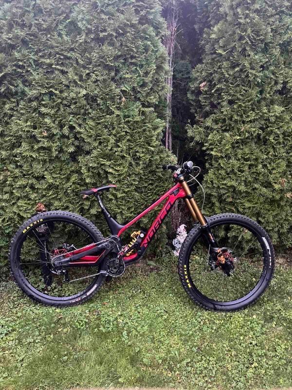norco aurum hsp 2020