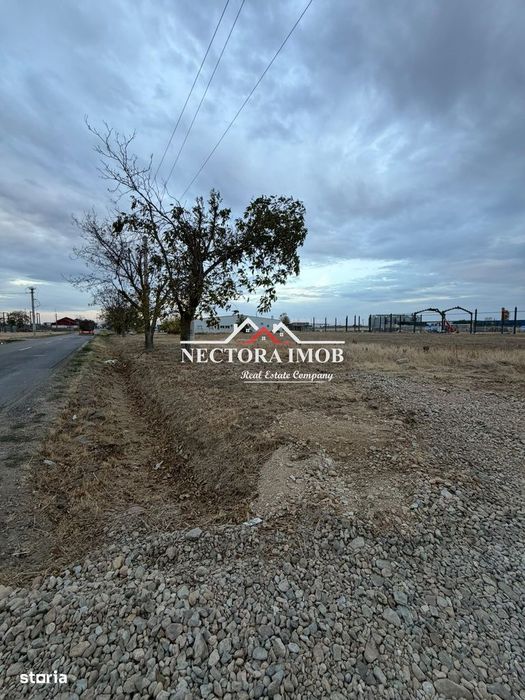 NECTORA IMOB-Teren Intravilan Industrial la sosea,2x2000 mp, Utilitati