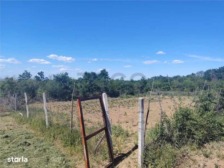 RECO Teren intravilan Paleu