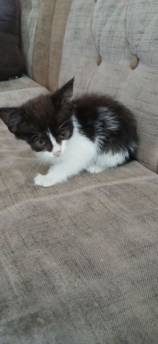 Rus xususiy porno video sauna