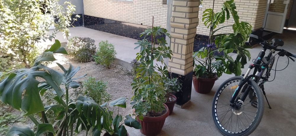 Катта ва чиройли гуллар сотилади