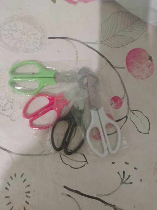 Бедана тухумини кесадиган қайчи