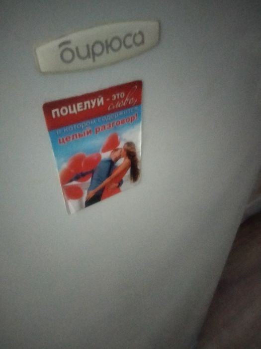 Холодильник Бирюса рабочий