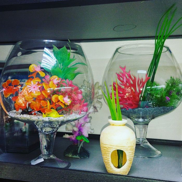 Аквариум 100л.Навои Торайгырова