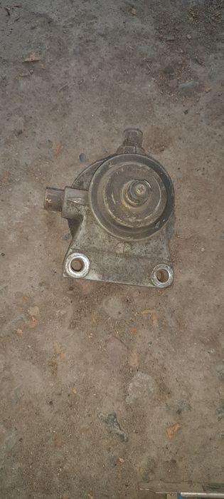 ПОтдам срочно бегунокотят