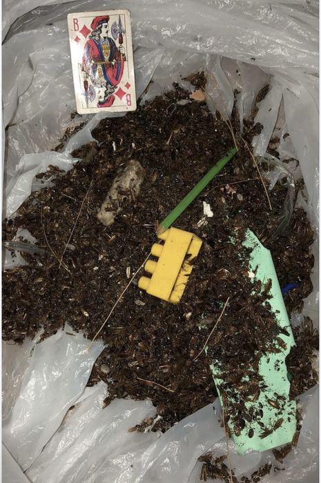 Дeзинфekция прoфессиональнaя!