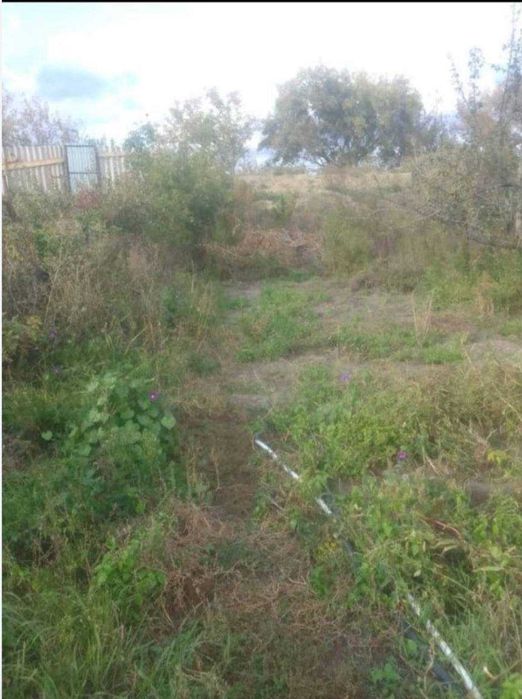 Срочно продам дом!