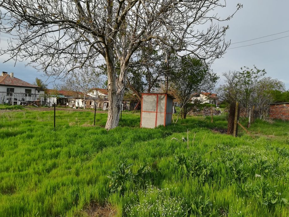 Дава се под наем Парцел в с. Калояново, Област Пловдив - 1000 кв.м за 102 € - Снимка #7