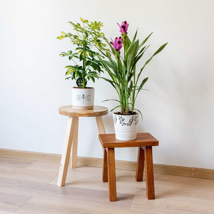 Vand magazin online cu decoratiuni pentru casa (Made in Romania)